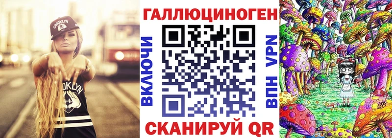 магазин продажи наркотиков  Ардатов  Галлюциногенные грибы ЛСД 